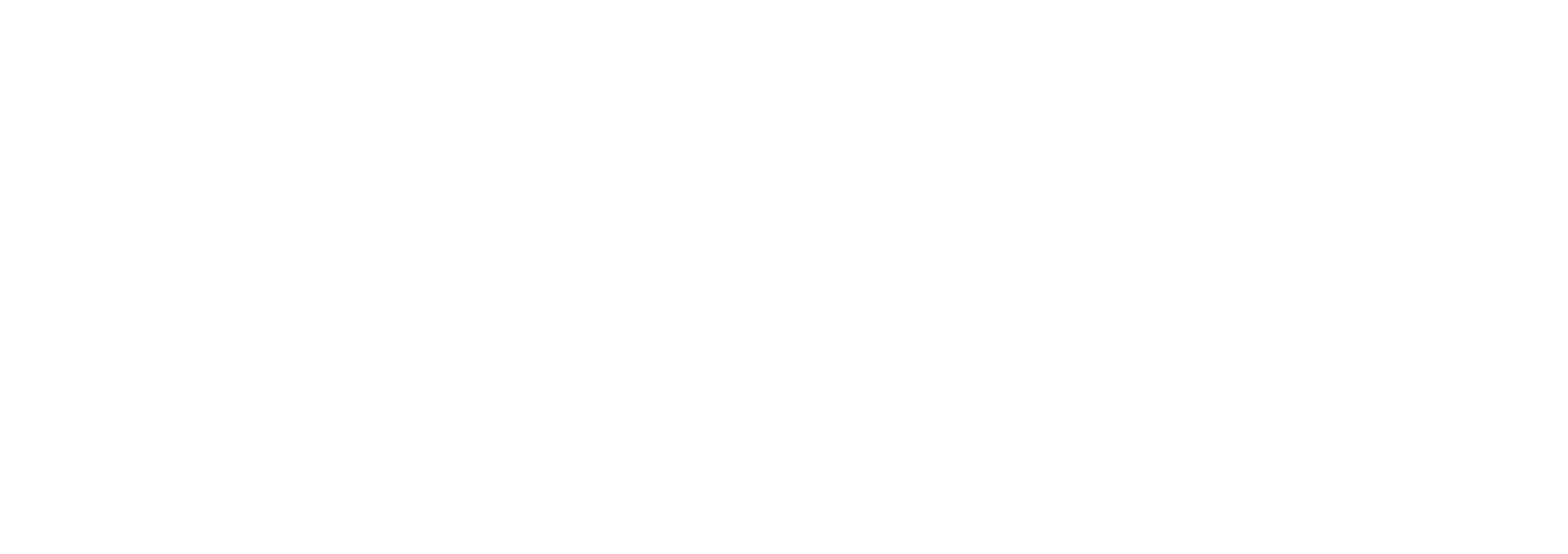 François Executive Partners - Luxury-Tier Executive Protection